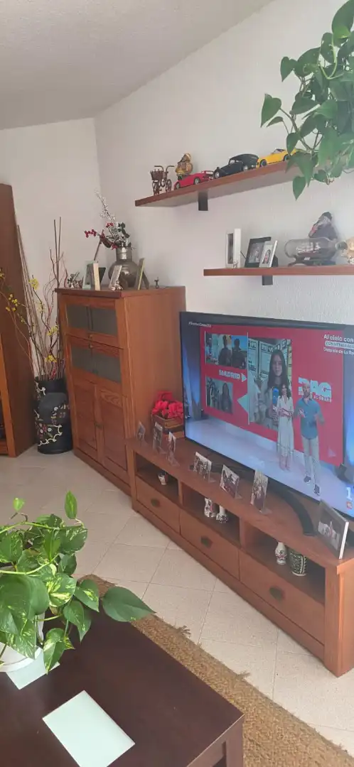 Living room of Flat for sale in Bareyo  with Furnished, Oven and Washing machine