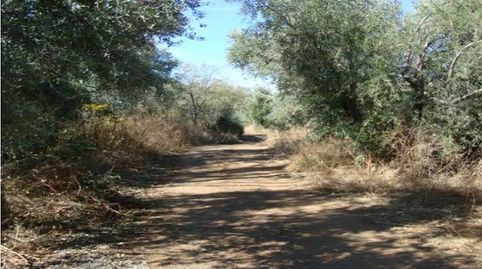 OPORTUNIDAD DE INVERSIÓN EN PINOS GENIL!!, imatge 5