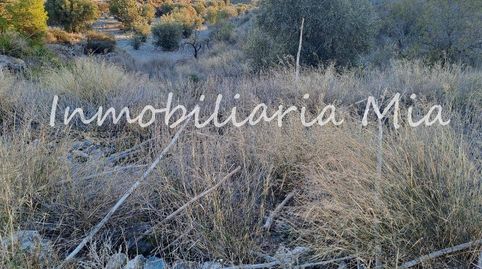 Foto 4 de Casa o chalet en venta en Bejar, Lorca