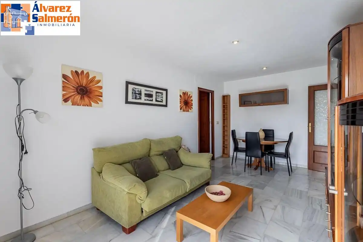 Sala de estar de Piso en venta en Granada con Balcón