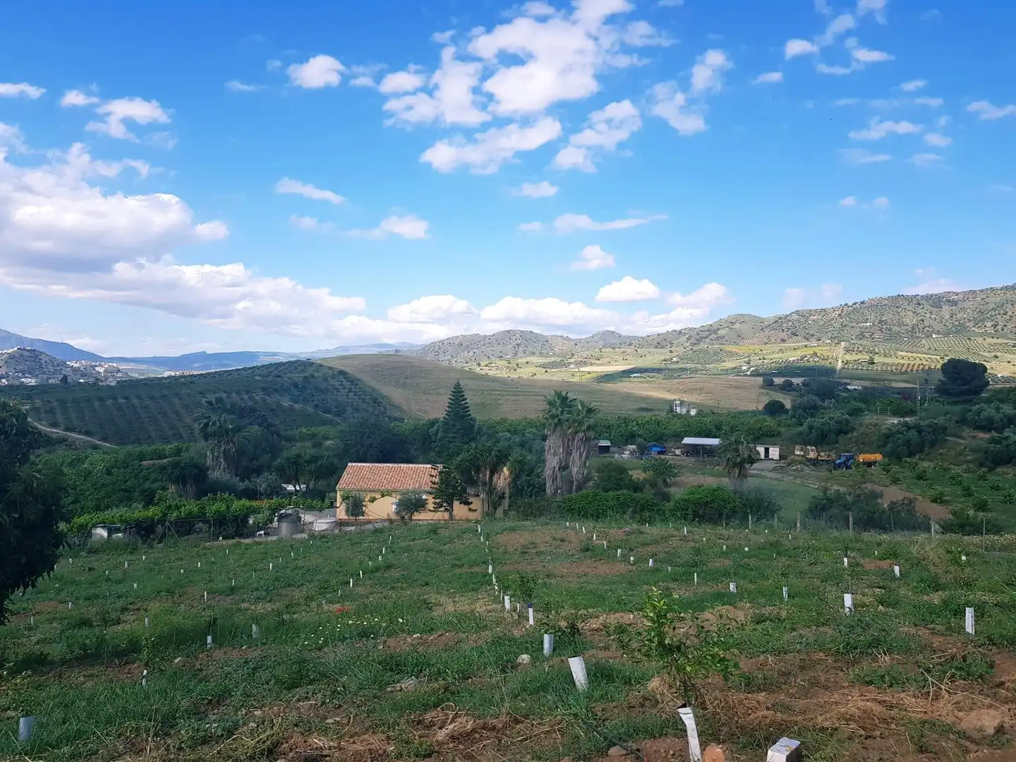 Casa o xalet en venda en Pizarra amb Aire condicionat, Calefacció i Jardí privat
