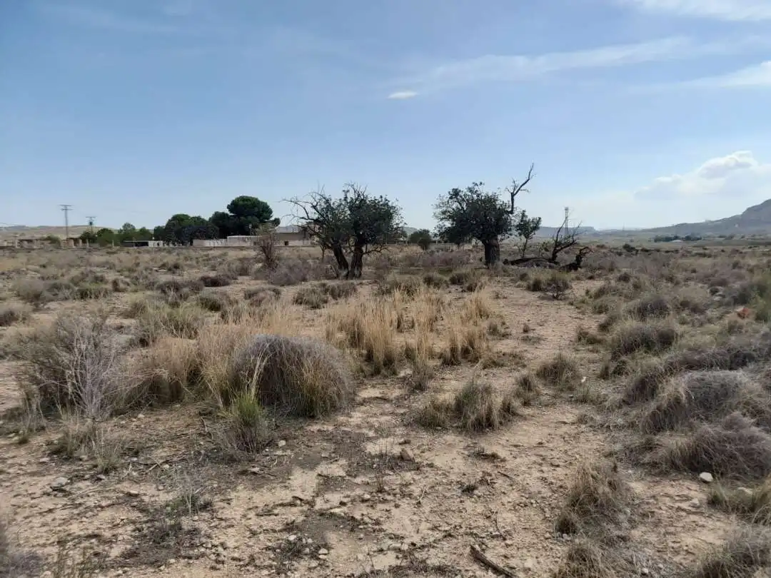 Terrenos y solares en venta en Camino de la Ermita del Salar, imagen 5