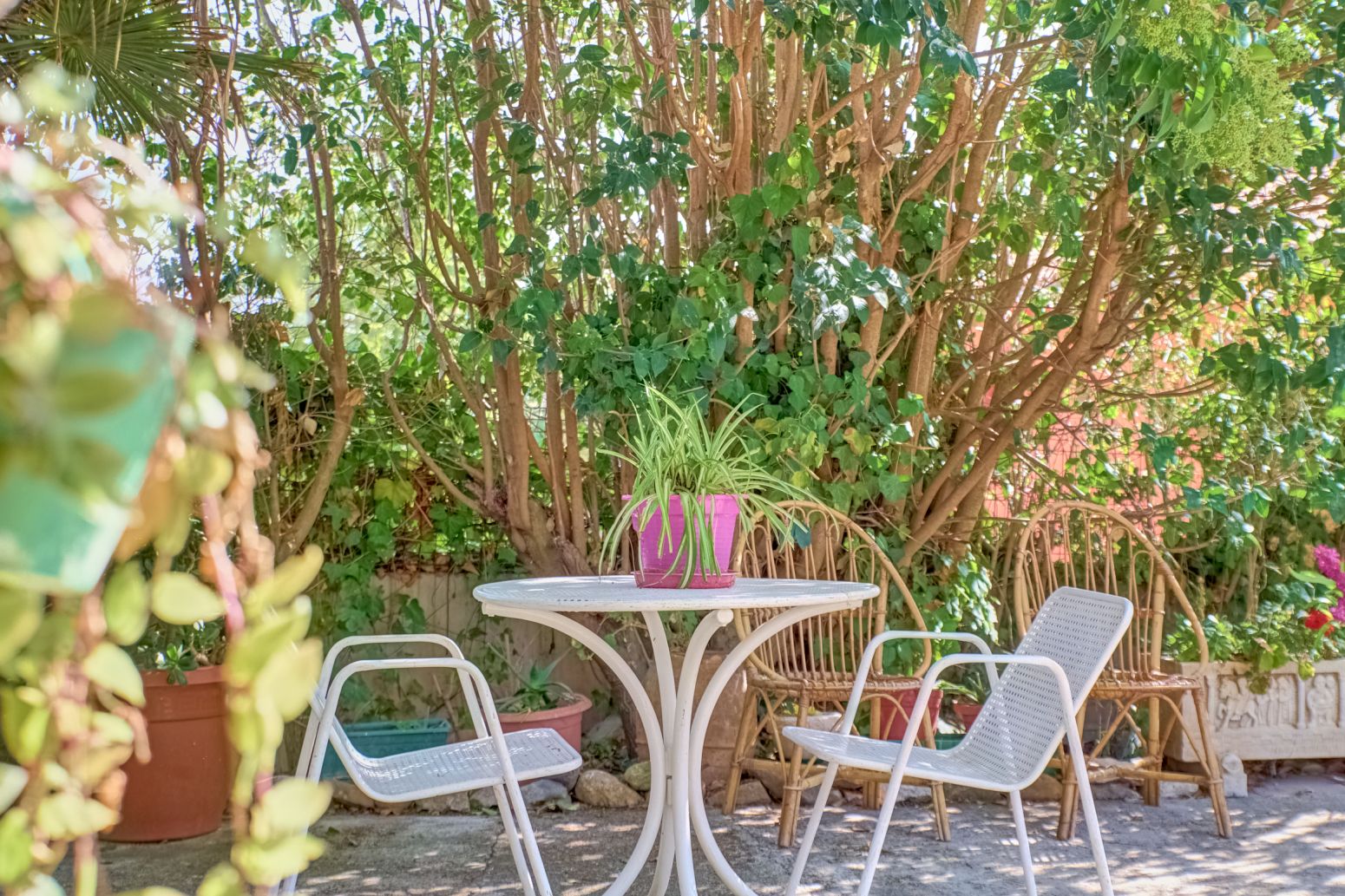 Jardí de Casa o xalet en venda en Añorbe amb Calefacció, Parquet i Terrassa