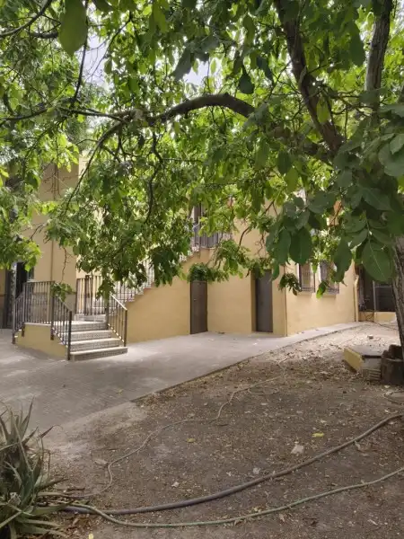 Vista exterior de Finca rústica en venta en Lucena con Aire acondicionado, Terraza y Piscina