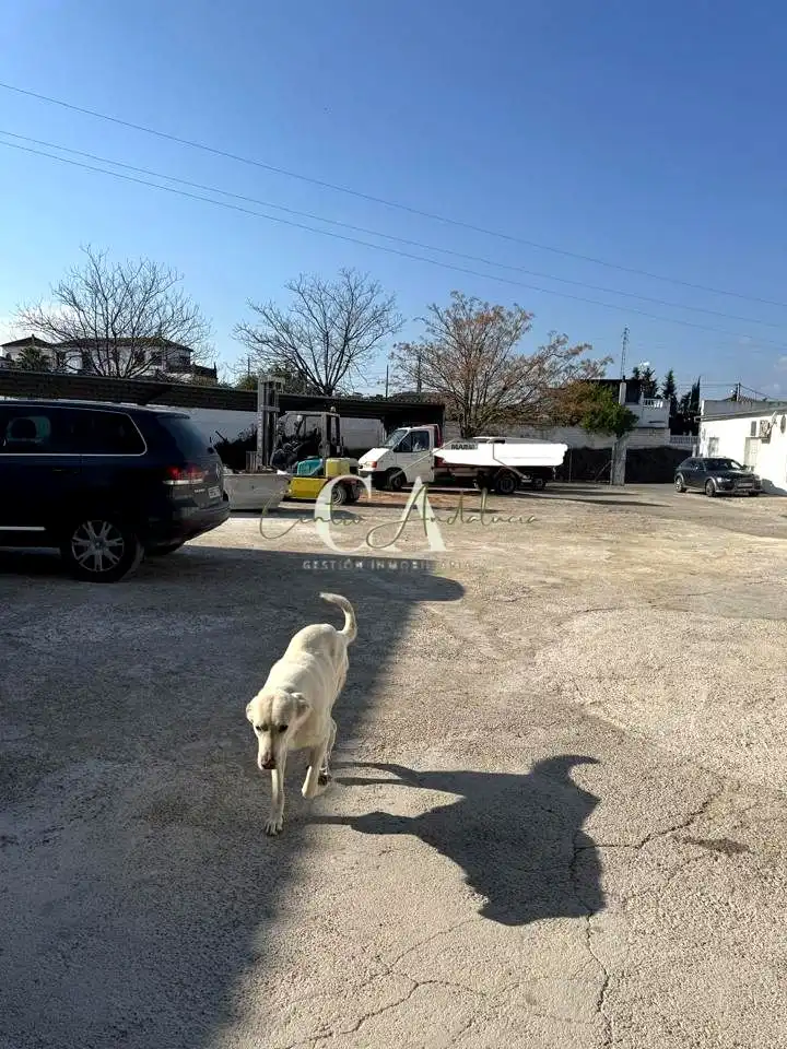 Parking of Industrial buildings for sale in Casariche