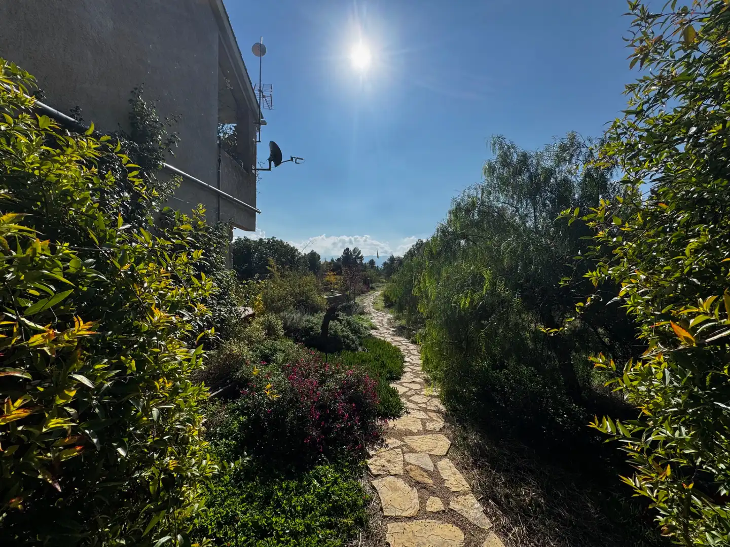 Jardín de Finca rústica en venta en Lledó con Aire acondicionado, Terraza y Piscina
