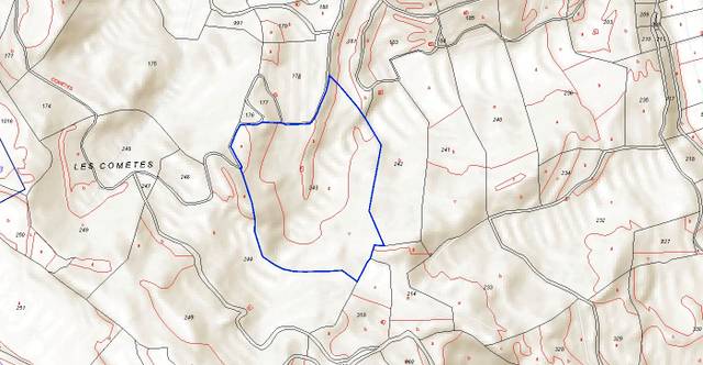 Terreno en Venta en Juncosa