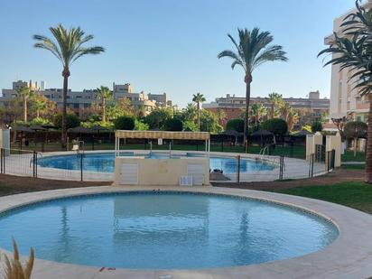 Swimming pool of Flat to rent in Málaga Capital  with Terrace