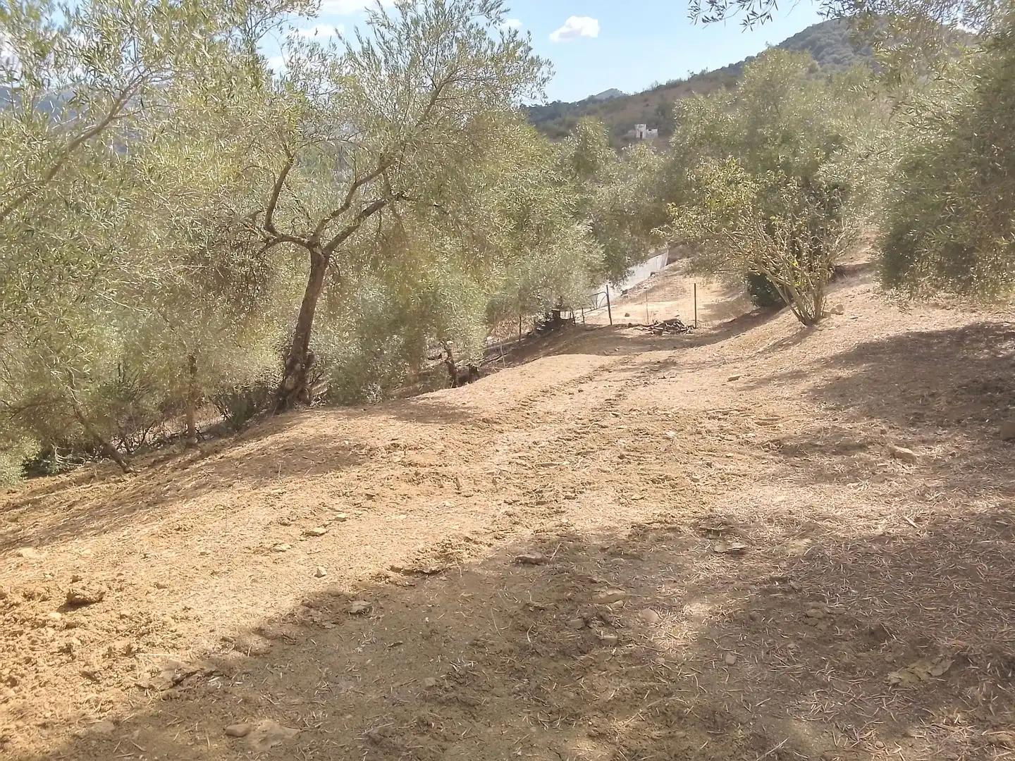Terrain rustique à vendre à Cortes de la Frontera, imagen 30