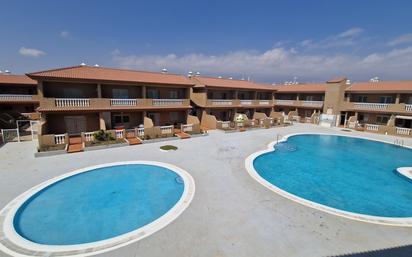 Swimming pool of Apartment to rent in Arico  with Balcony