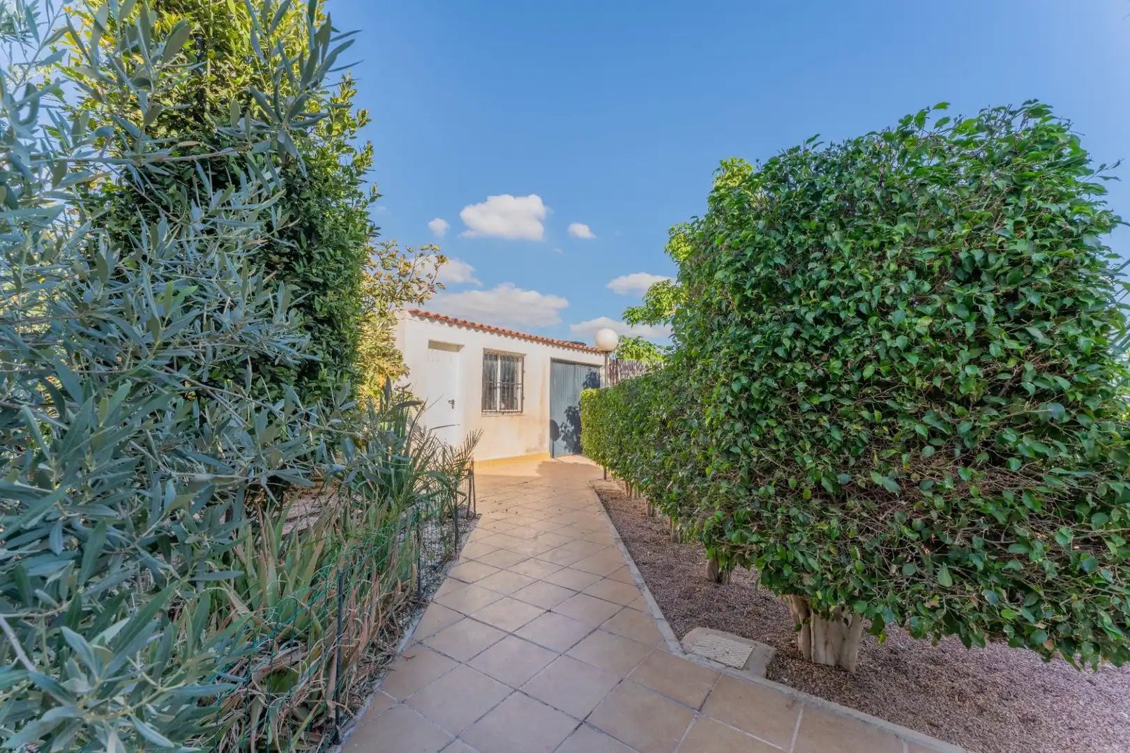 Jardín de Casa o chalet en venta en Elche / Elx con Trastero, Piscina y Balcón