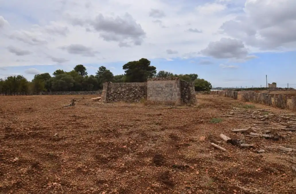 Casa rustica con giardino in vendita a Muro, imagen 14