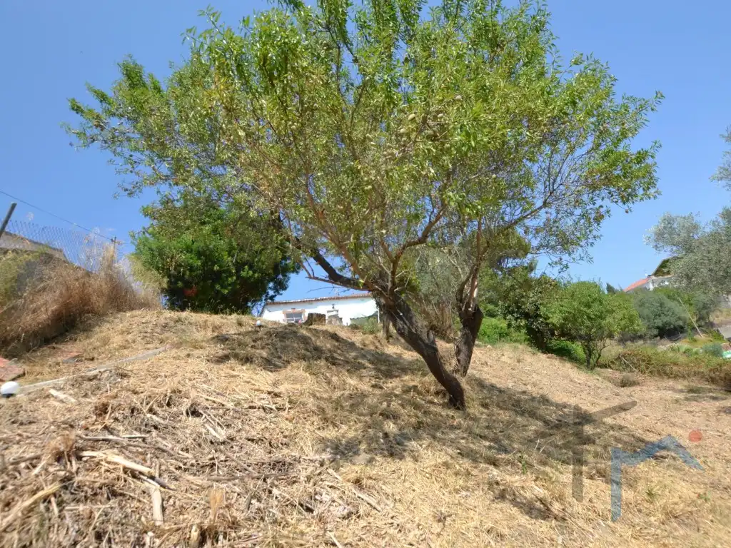 Houses for sale in Masquefa