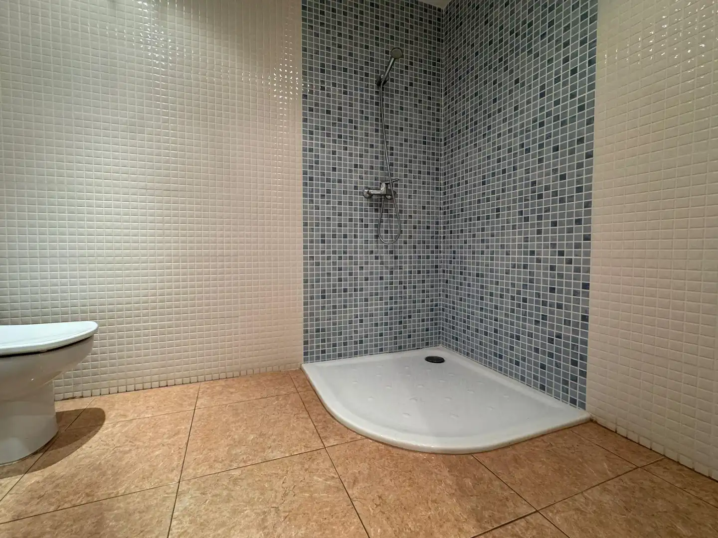 Baño de Casa o chalet en venta en Inca con Aire acondicionado, Calefacción y Terraza