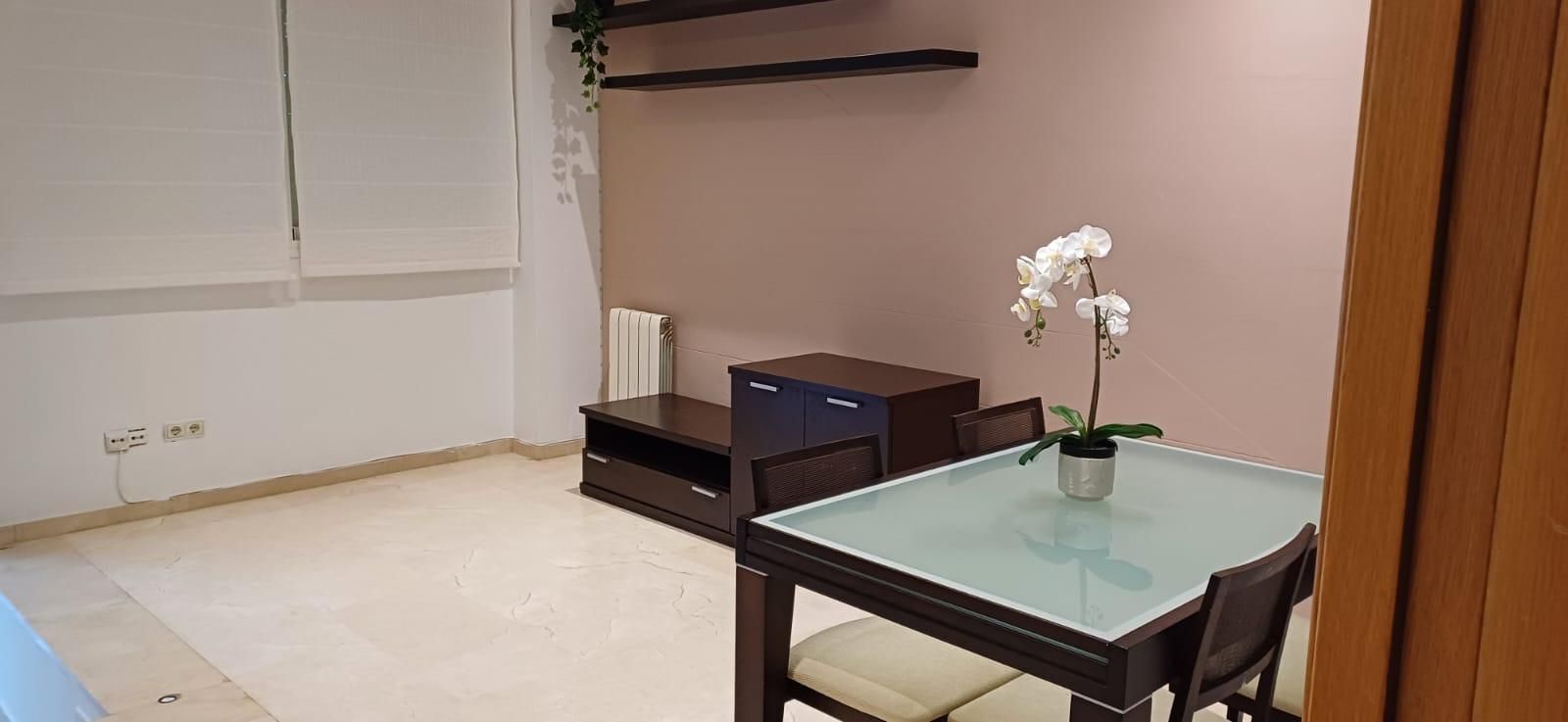 Sala d'estar de Planta baixa de lloguer en  Palma de Mallorca amb Aire condicionat, Calefacció i Moblat