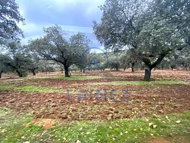 Residential land for sale in Fuente Obejuna, imagen 8