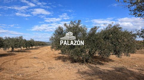 Finca en venta en Caudete Albacete, immagine 5