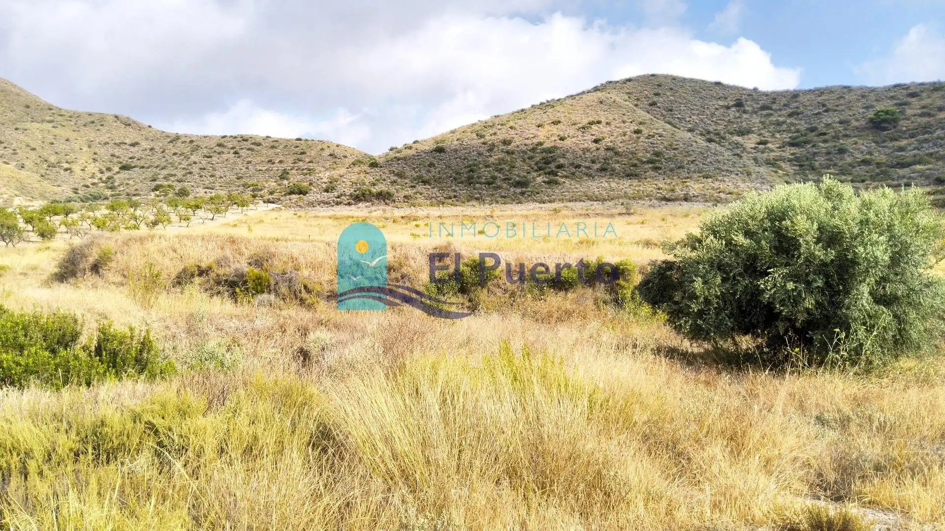 Terreny rústic en venda a Pedanías Sur, imagen 12