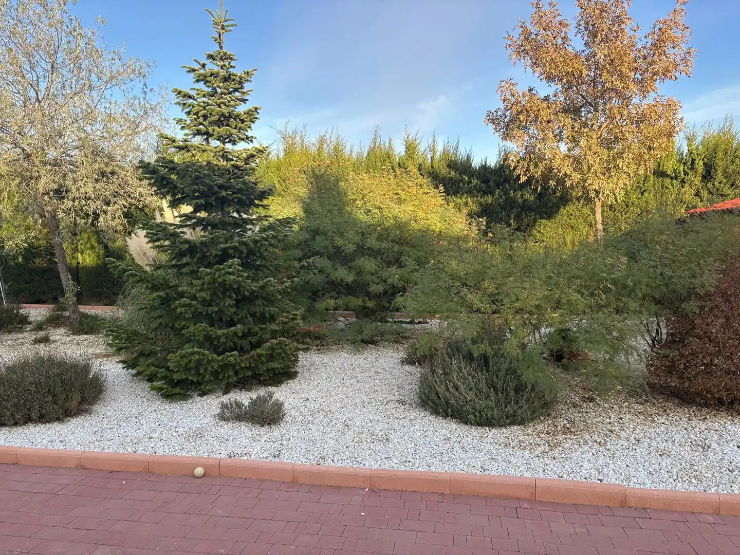 Jardín de Casa o chalet en venta en Villarrobledo con Aire acondicionado, Calefacción y Jardín privado