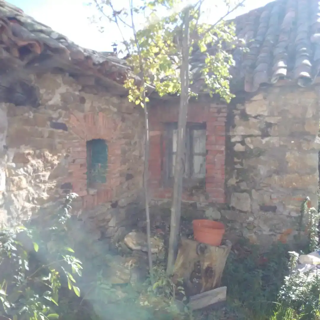Vista exterior de Casa o xalet en venda en La Pola de Gordón 