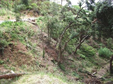 Terrain résidentiel à vendre à Eucaliptus 10