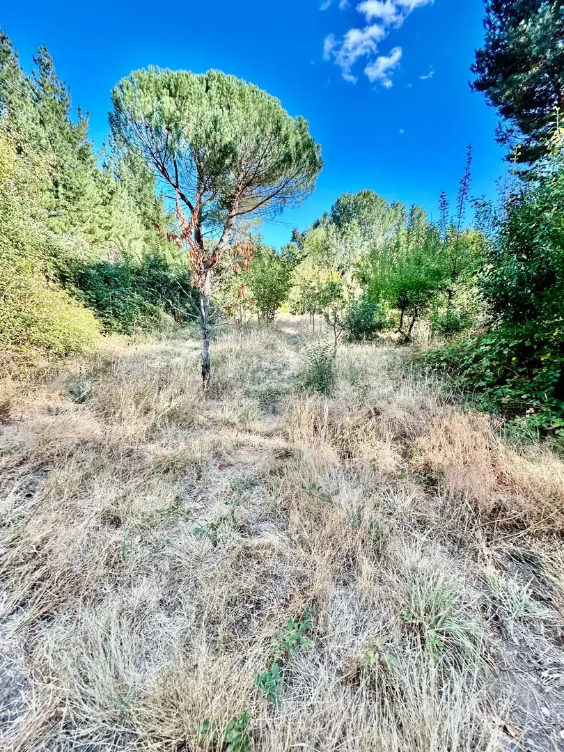 Casa o xalet en venda en Castrocontrigo amb Terrassa