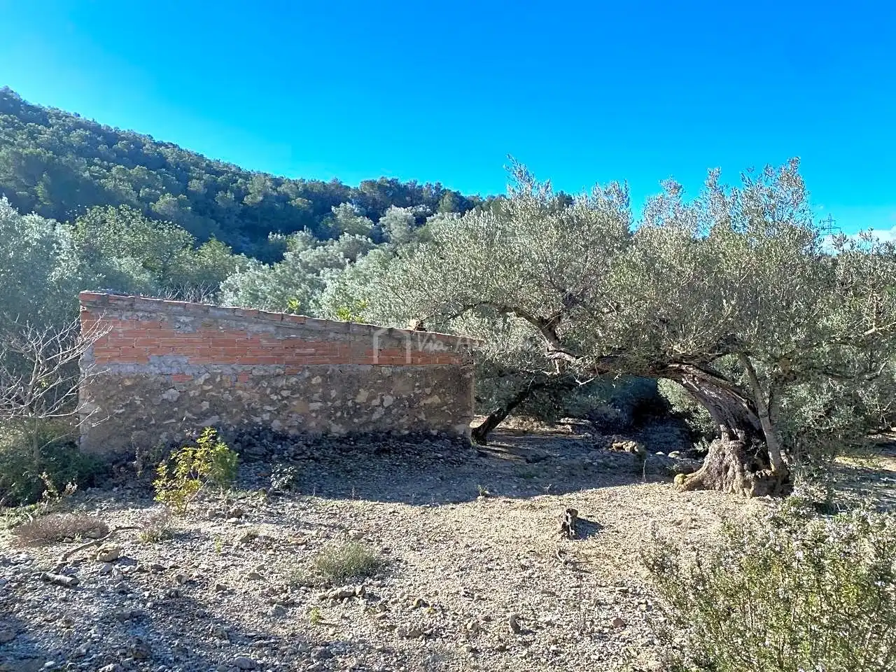 Terreno rustico in vendita a Aubachs, imagen 5