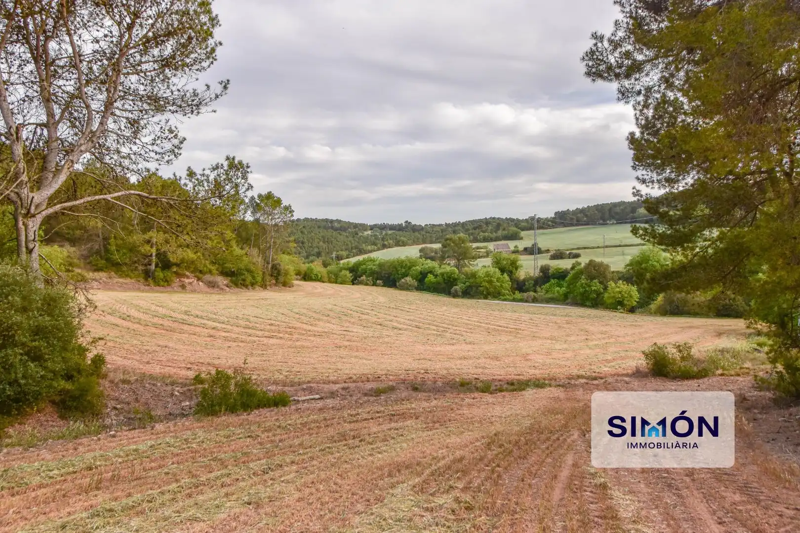 Finca rústica en venta en Veciana