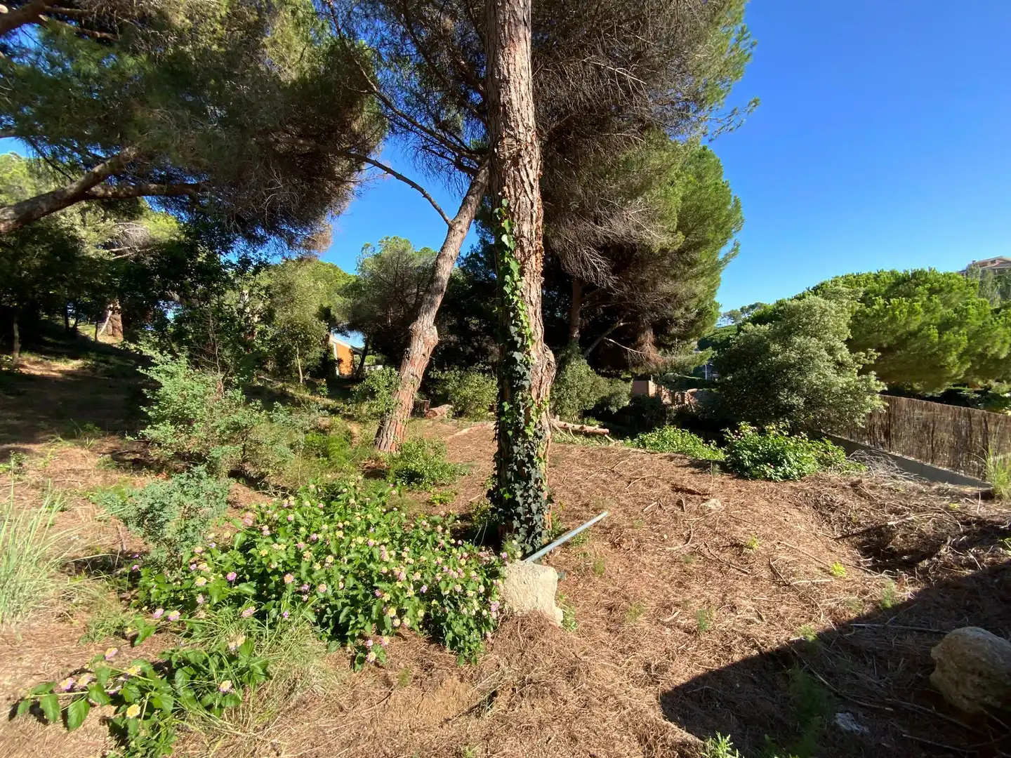 Residencial en venda en Sant Andreu de Llavaneres