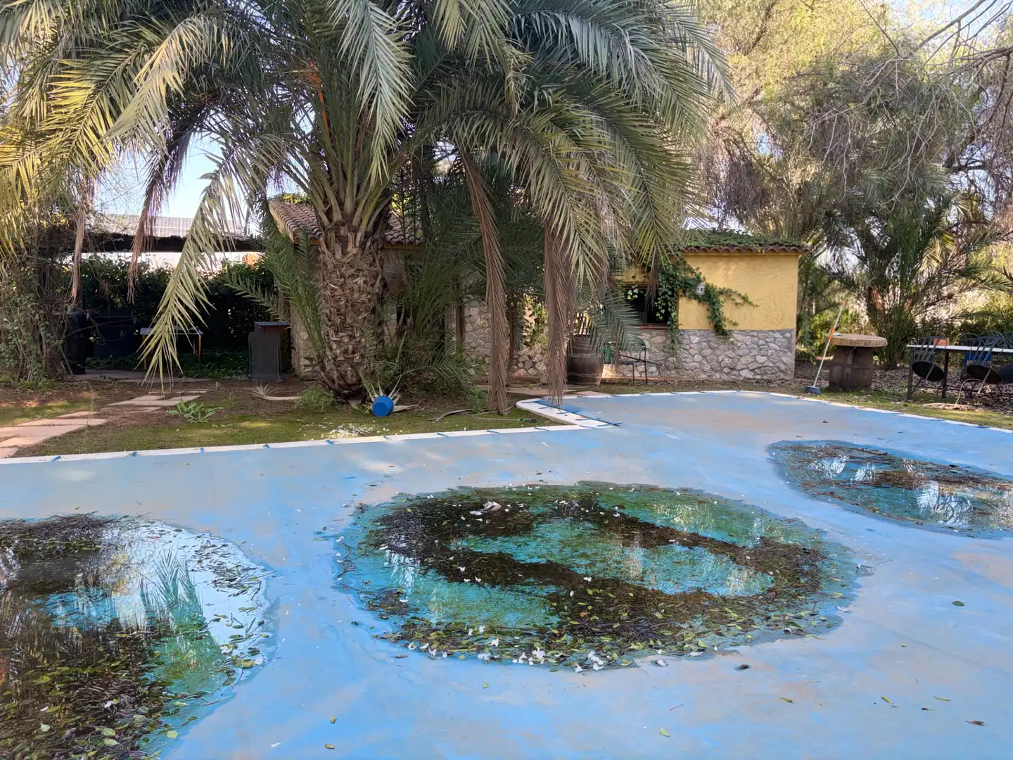 Lands and plots for sale in Abanilla, imagen 21