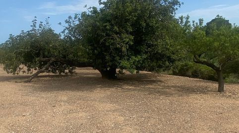 Foto 4 von Residential zum Verkauf in Jesús - Els Reguers, Tortosa