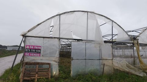 FINCA CON INVERNADERO EN CHIPIONA, imagen 2
