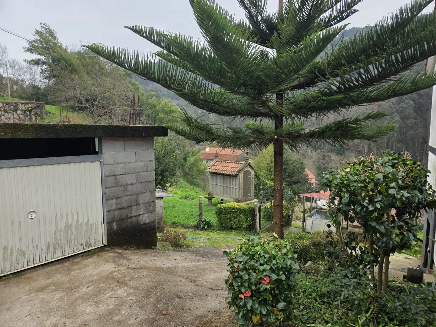 Vista exterior de Casa o chalet en venta en O Porriño   con Trastero