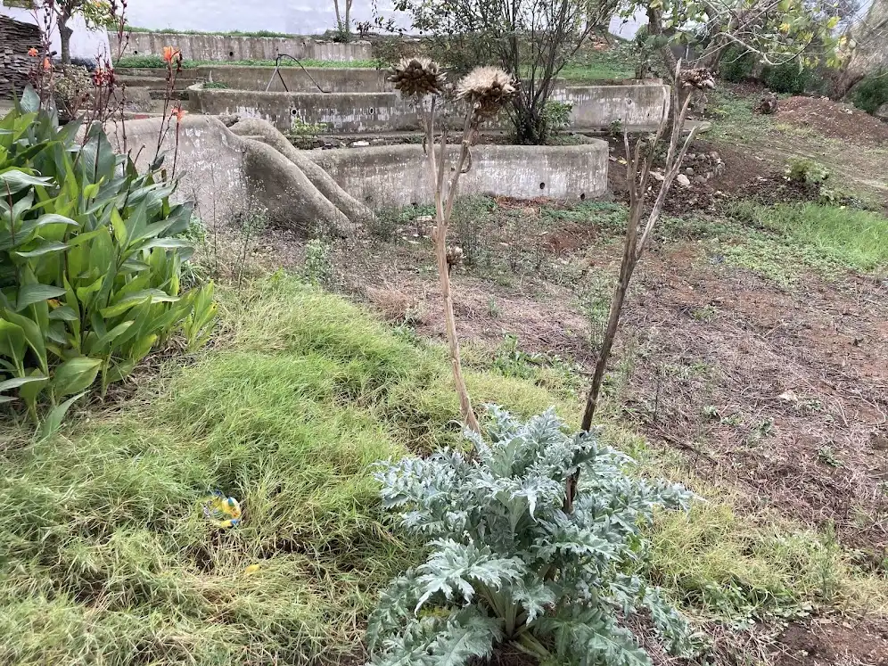 Casa o xalet en venda en Los Barrios amb Jardí privat, Terrassa i Traster