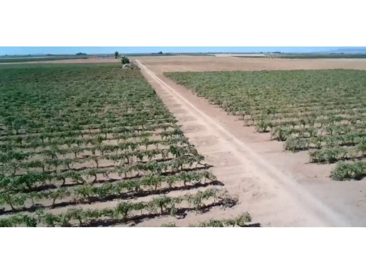 Rural land for sale in Manzanares, imagen 2