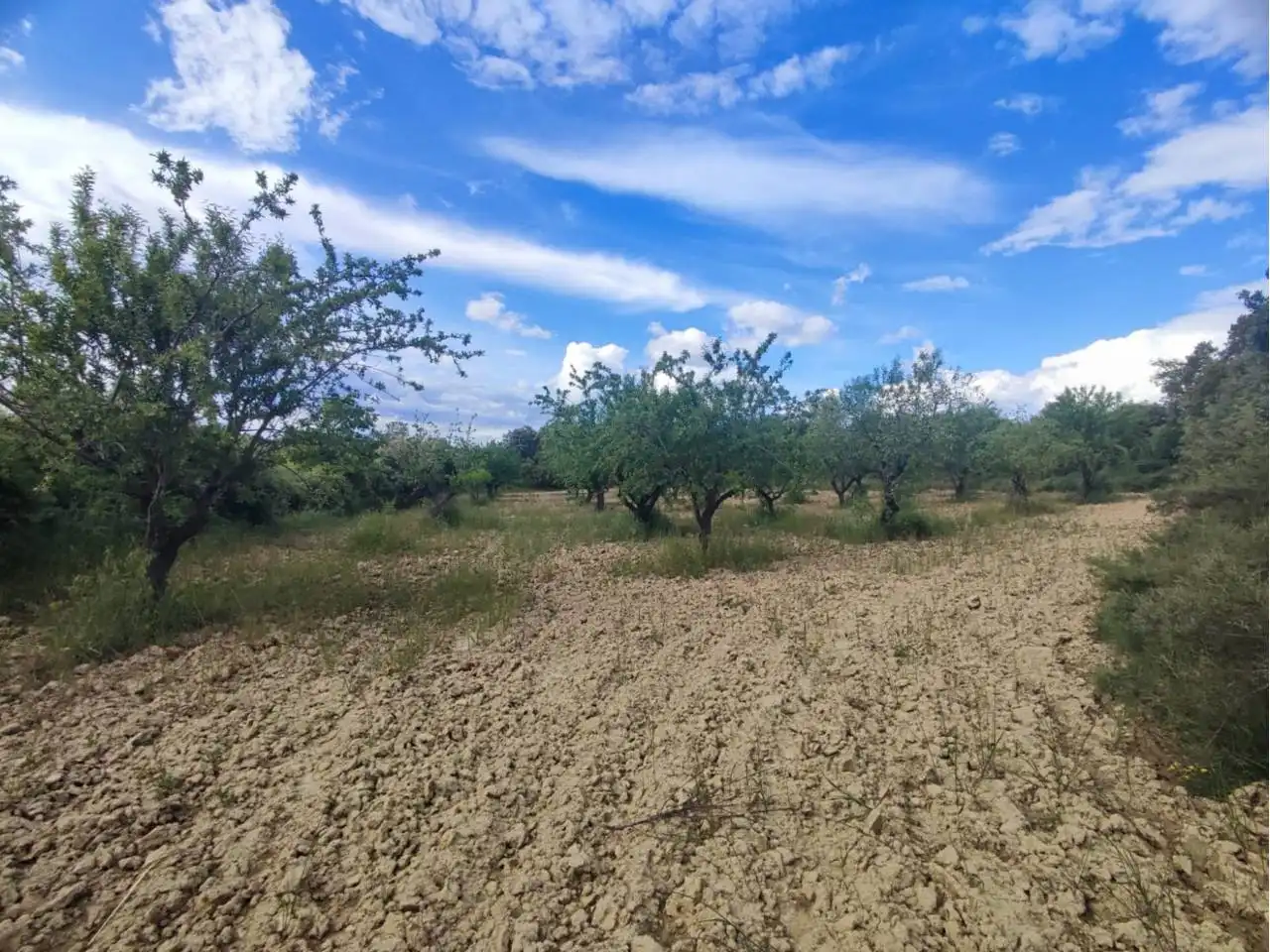 Terreni e lotti in vendita a Salas Altas, imagen 4