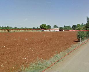 Land for sale in Ciudad Real Capital