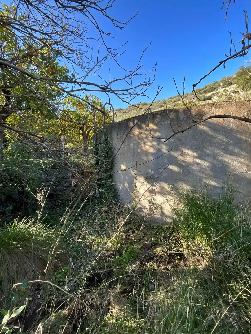 Terreni e lotti in vendita a Solera, imagen 18