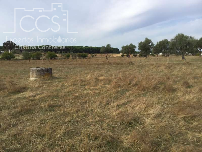 Finca rústica en venta en Almonte