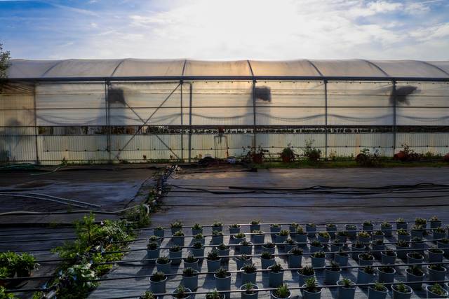 Terreno en Venta en Poligono Industrial els Garrofers en Zona Industrial i Agrícola