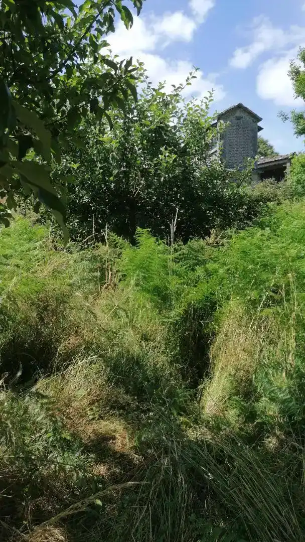 Casa o chalet en venta en Boborás