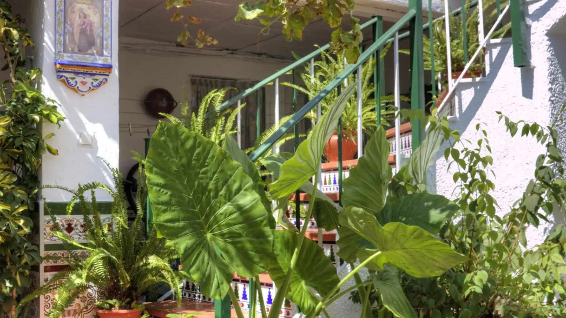 Jardí de Casa adosada en venda en Casarabonela amb Aire condicionat, Jardí privat i Terrassa