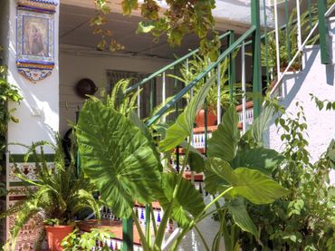 Casa bifamiliare con giardino in vendita a Casarabonela