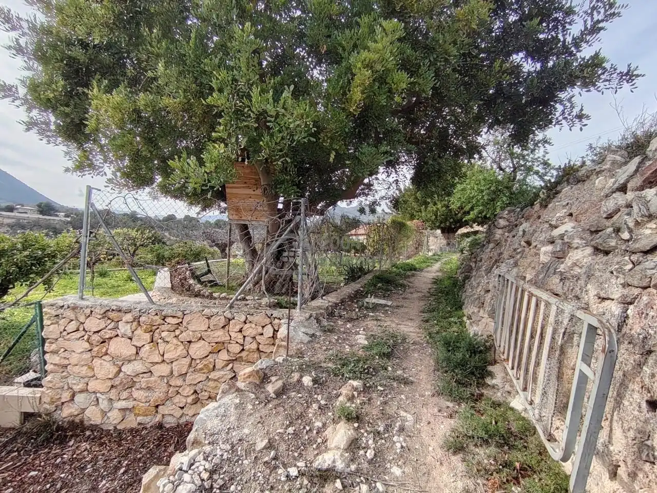 Terreno rustico in vendita a Nacional Cv-758 Finestrat, imagen 7