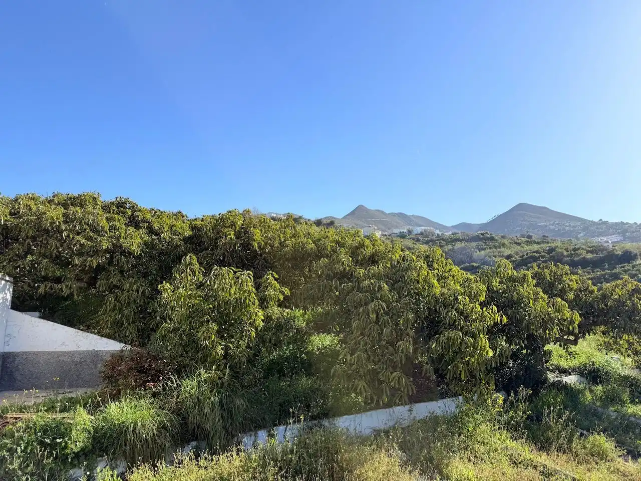 Land for sale in Canillas de Albaida
