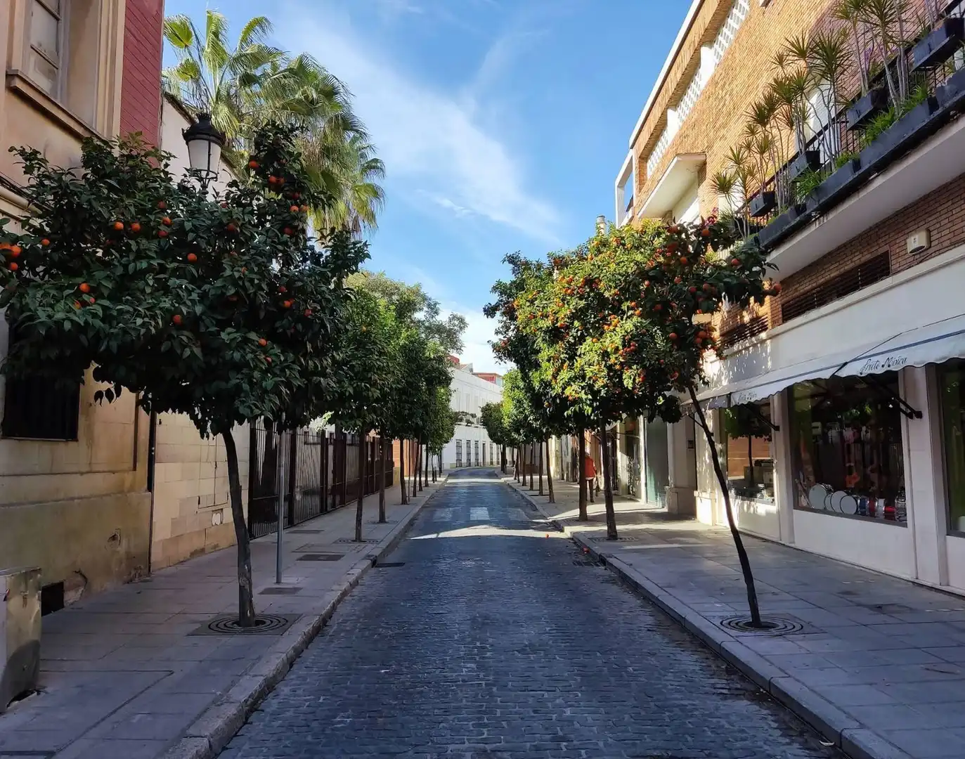 Vista exterior de Pis en venda en Jerez de la Frontera amb Traster