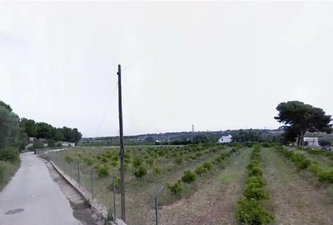 Rural land for sale in El Mercado
