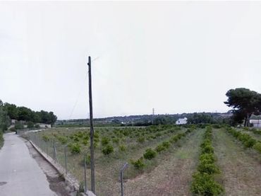 Terreno rustico in vendita a El Mercado