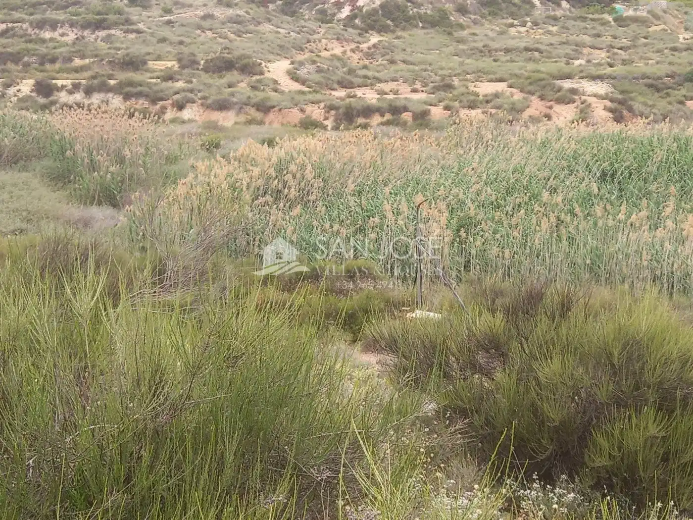 Rural land for sale in Novelda, imagen 3