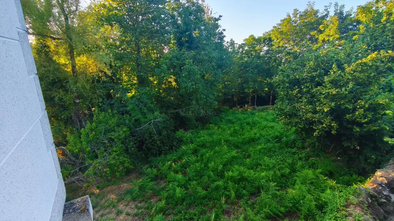 Finca rústica en venda en Nogueira de Ramuín amb Jardí privat i Traster